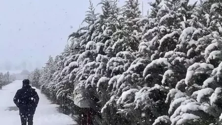 What Does It Mean to See Snow Falling in a Dream?